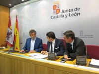 El número de osos en la Cantábrica podría superar los 250