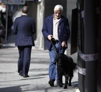 El Congreso aprueba la reforma para que las personas con discapacidad puedan casarse sin certificado médico