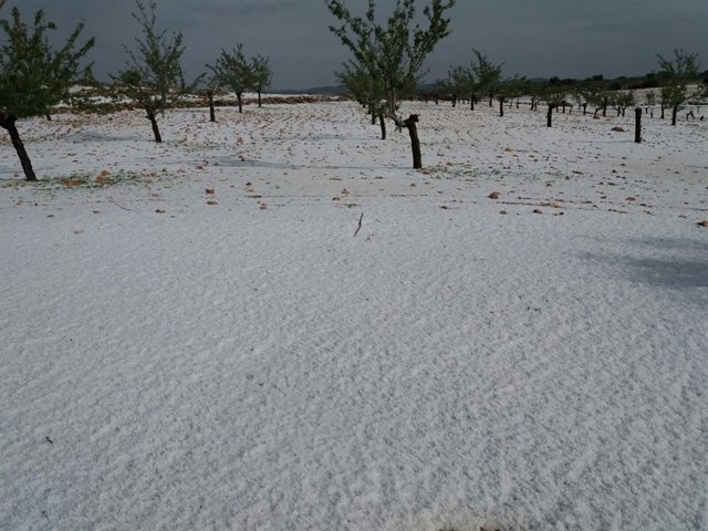 Granizo