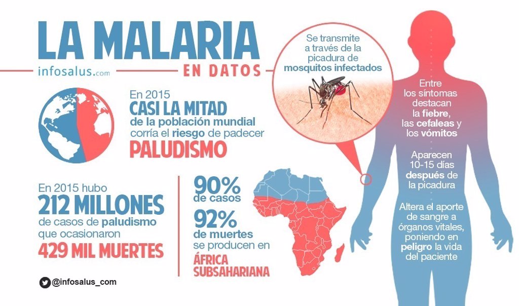 10 Datos Sobre La Malaria