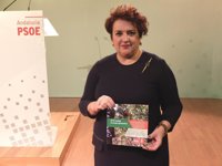 PSOE pide al CGPJ que reconozca la capitalidad jurídica de Granada en su fallo sobre las secciones del TSJA