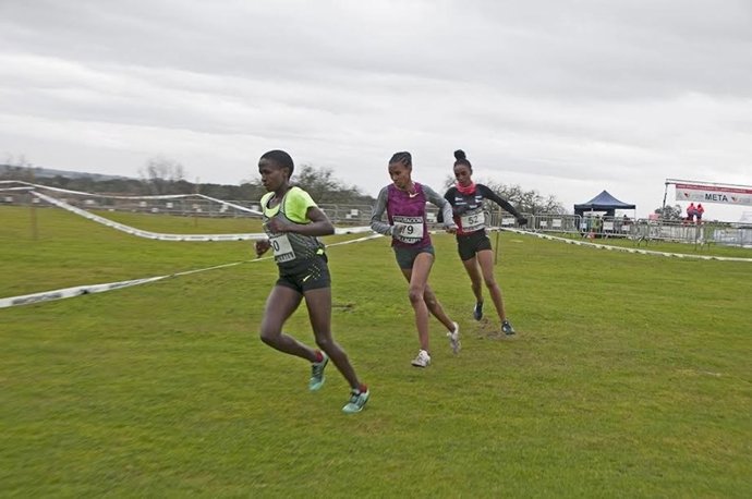 Gran Premio de Campo a Través de la Diputación de Cáceres