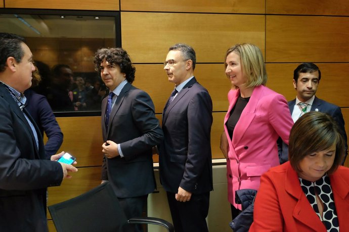 Madrid: Alicia García a su llegada a la reunión del Consejo Territorial