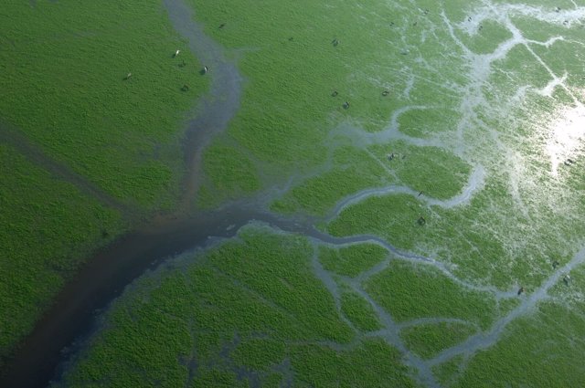 Parque Nacional de Doñana