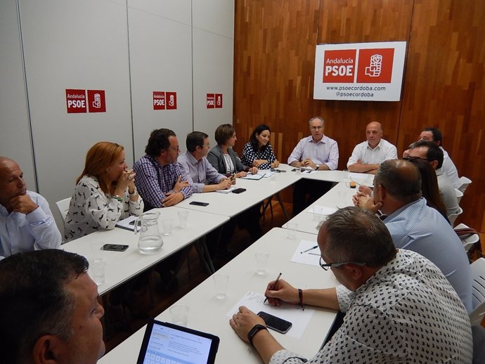 Durán y Ruiz (al fondo) presiden la reunión en la sede del PSOE