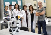 Demuestran la acción antinflamatoria y autoinmune de una molécula producida por el sistema nervioso en el miocardio