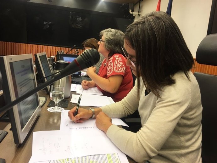 Plataforma 'Impacto de Género Ya', en el Congreso