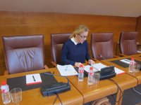 PP espera que PRC-PSOE "reaccione" al "drástico" empeoramiento económico