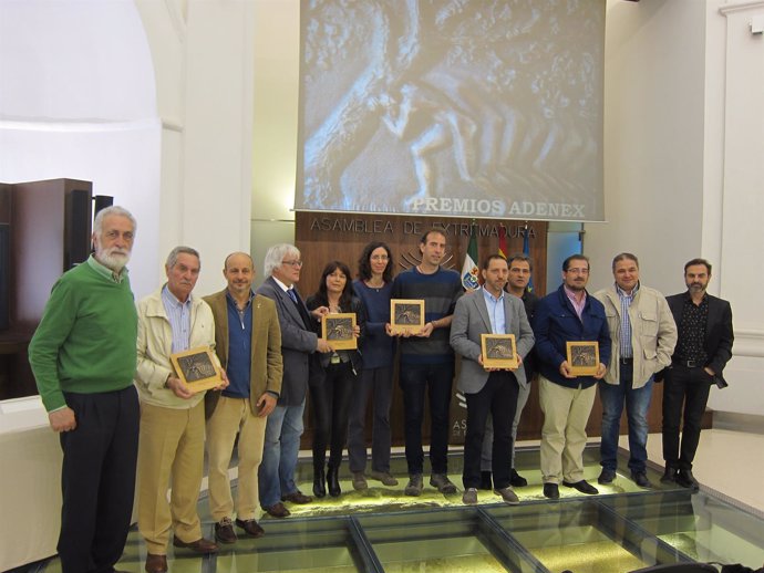 Premios Adenex 2016                   