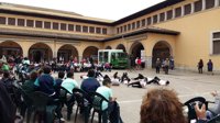 Alumnos de centros escolares participan en los Juegos Coreográficos en la plaza del Olivar