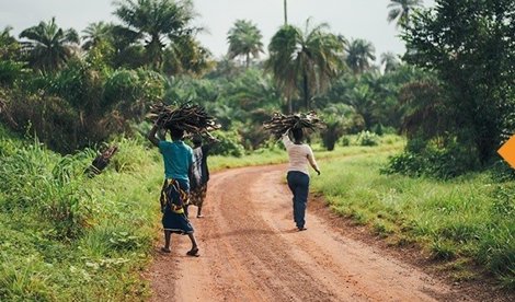 Cooperación y Desarrollo
