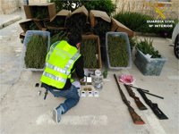 14 detenidos en La Romana (Alicante) por vender marihuana e inducir a trabajadores a suicidarse