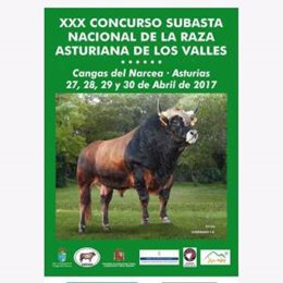 Concurso Asturiana de los Valles en Cangas del Narcea