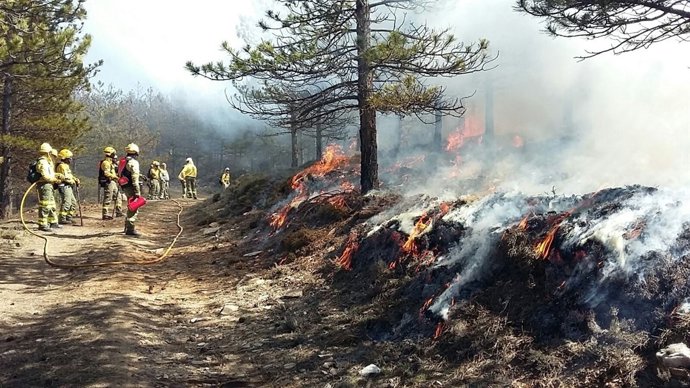 Trabajadores del Infoca