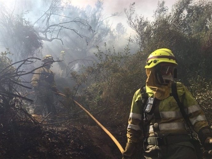 El fuego calcinó más de 1.500 hectáreas