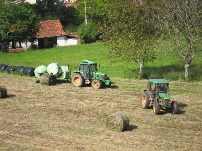 Rural, campo asturiano, PAC, Agricultura. 