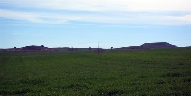 Salamanca.- Arapiles                       
