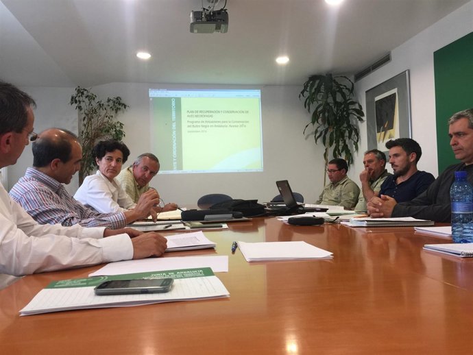 Comisión del buitre negro