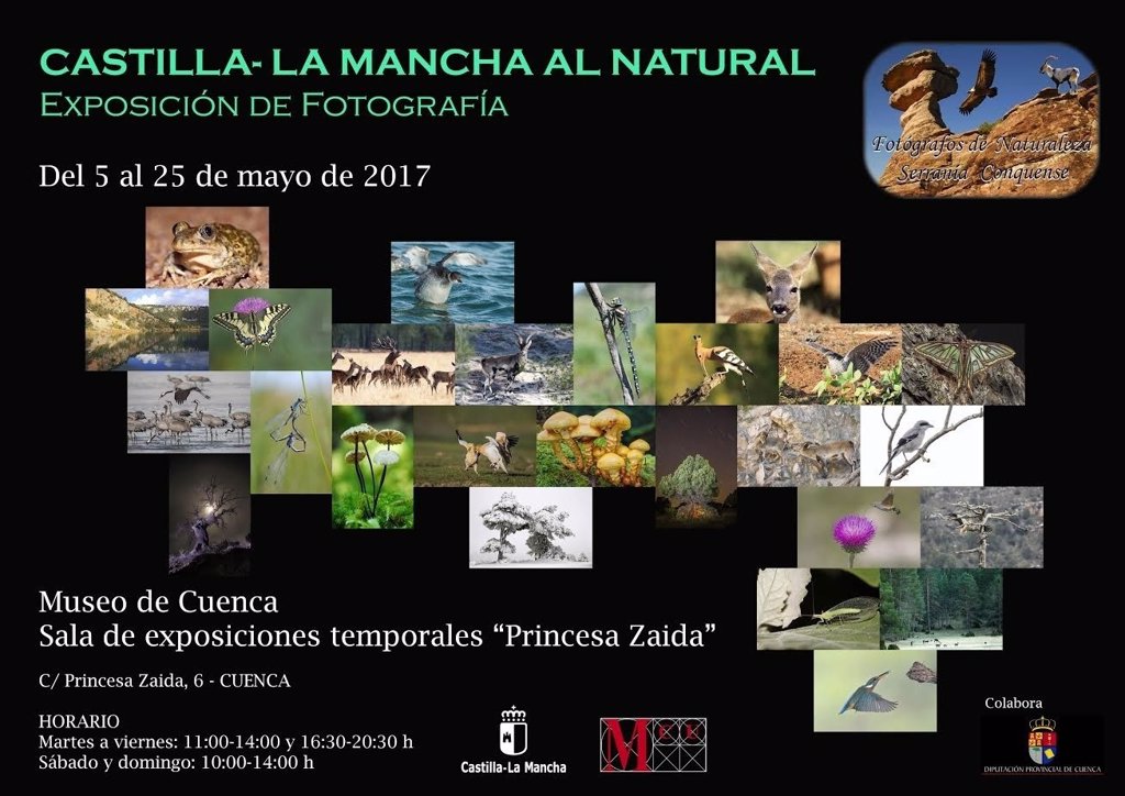 Asociación de Fotógrafos de Serranía de Cuenca inaugura ...