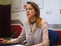 PSOE pide a Podemos que "deje ya el circo" de pedir debates televisivos