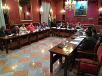 Instituciones se unen para reclamar las secciones penales del TSJA para Granada
