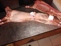 4 investigados en Segovia por no cumplir las normas de la IGP, lo que afectaría a 11.000 corderos