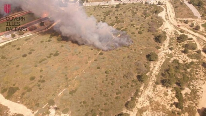 Incendio forestar en el Salobrar de Calvià