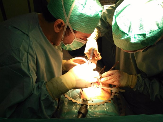 Trasplante operación quirófano donación órganos sector málaga médico salud sanid