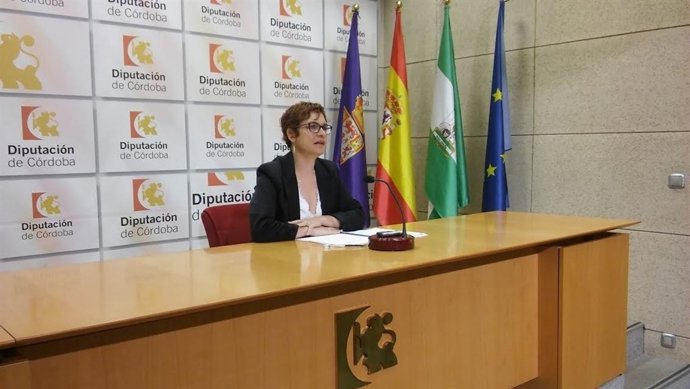 Ruz presenta la convocatoria de ayudas para 'Programas Singulares'