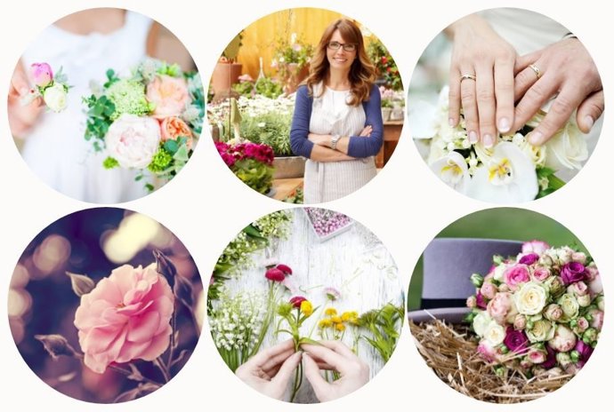 STRATO HPBK Widget Photo Grid