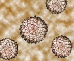 Les cèl·lules canceroses es mengen a si mateixes per sobreviure