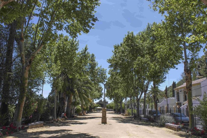 Alameda Alfonso XIII de  Carmona