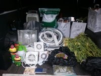 Detenido por instalar en su domicilio una plantación de marihuana
