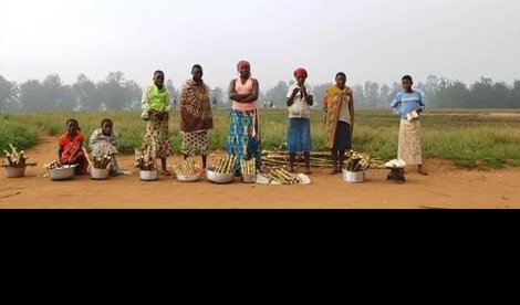 Cooperación y Desarrollo