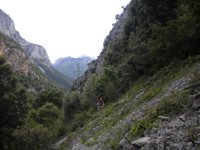 Endesa invierte 120.000 euros en la mejora de la red que suministra energía a Lafortunada y Bielsa