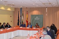 Sánchez Rubio destaca la "contribución" del Tercer Sector al nuevo modelo del 0,7% del IRPF