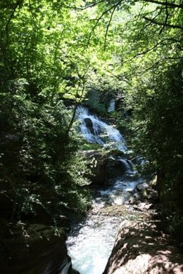 Fonts del Llobregat