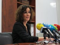 Las ayudas de la Junta de Extremadura para compensar el 'impuesto al sol' reciben 856 solicitudes