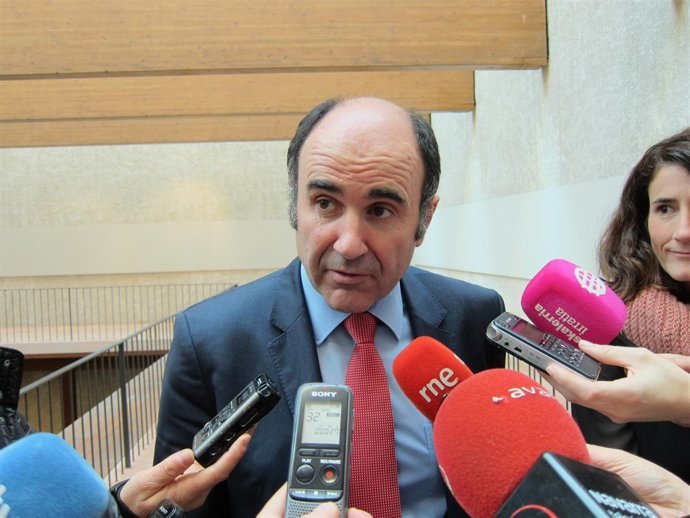 El vicepresidente de Desarrollo Económico, Manu Ayerdi