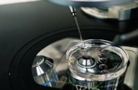 Las mujeres que preservan su fertilidad debido al cáncer tienen resultados similares a las infértiles o con dificultades