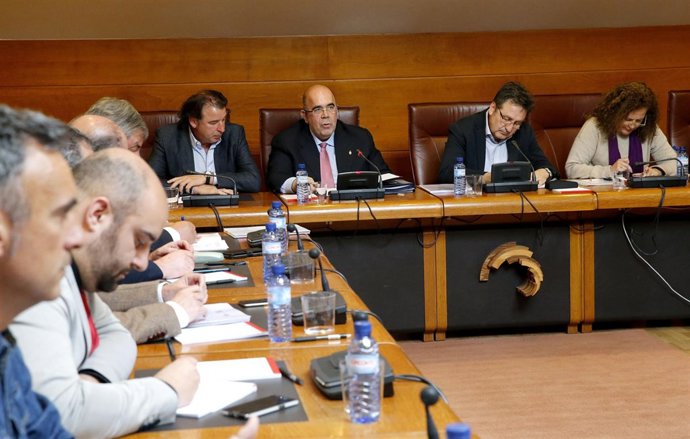 El consejero de Medio Rural, Pesca y Alimentación comparece en el Parlamento