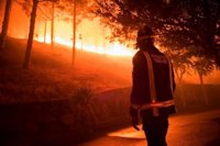 Condenan a tres años de cárcel al joven alemán que originó el incendio de La Palma