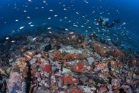 Comienzan las prospecciones para catalogar los pecios hundidos en aguas del Parque Nacional de Cabrera