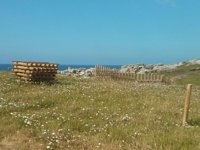 Santander cede 2.800 m2 a Costas para el nuevo trazado de la senda costera