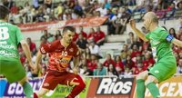 ElPozo Murcia y Magna Gurpea buscan el título en Guadalajara