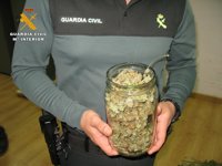 Un detenido y 23 plantas de marihuana intervenidas en una vivienda de Baena (Córdoba)