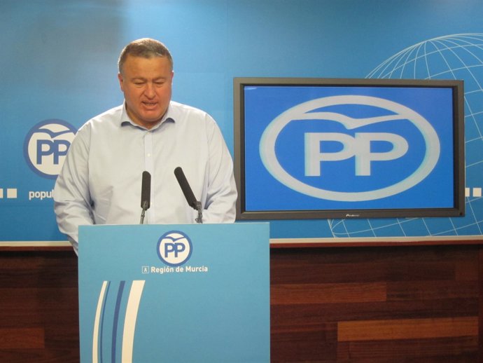 El vicesecretario de Acción Política del PP, Francisco Bernabé                  