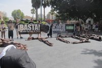 AnimaNaturalis pide a Cort la creación de una oficina de protección animal