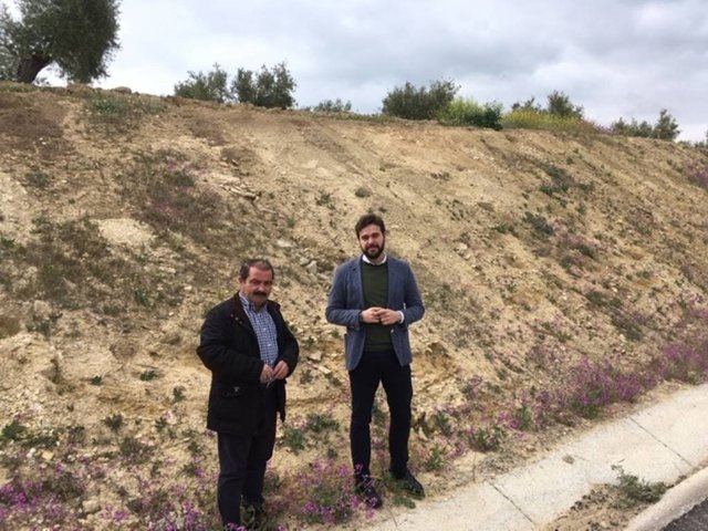 Visita a las obras realizadas en la carretera entre Bedmar y Garcíez.