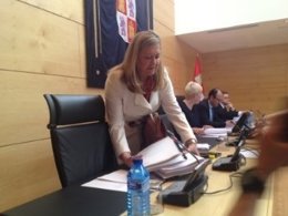 Valladolid. Comparecencia de Del Olmo